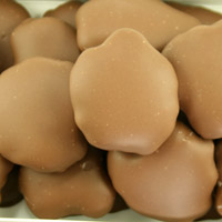 1/2 lb. Tortoises