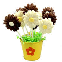 Daisy Sucker Daisy Sucker