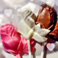 Chocolate Roses Chocolate Roses